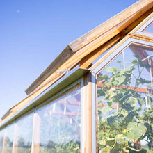 Lade das Bild in den Galerie-Viewer, Serra270