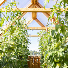 Lade das Bild in den Galerie-Viewer, Serra270