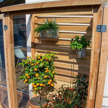 Lade das Bild in den Galerie-Viewer, Terra I