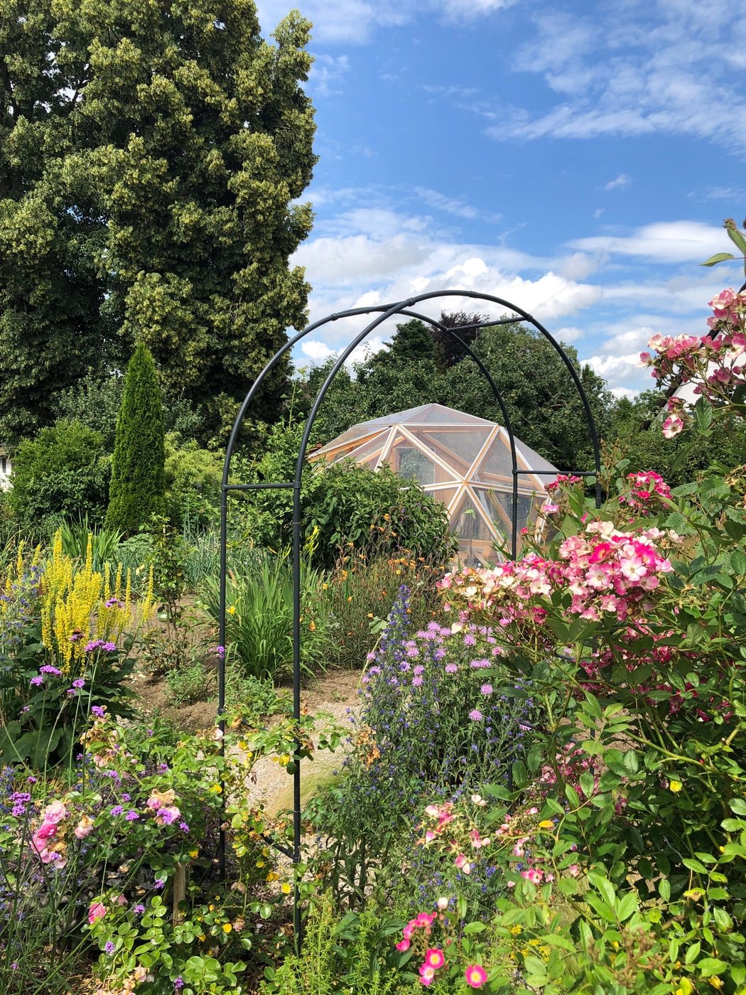 Lucama-Gewächshaus im Garten einer Kundin oder eines Kunden