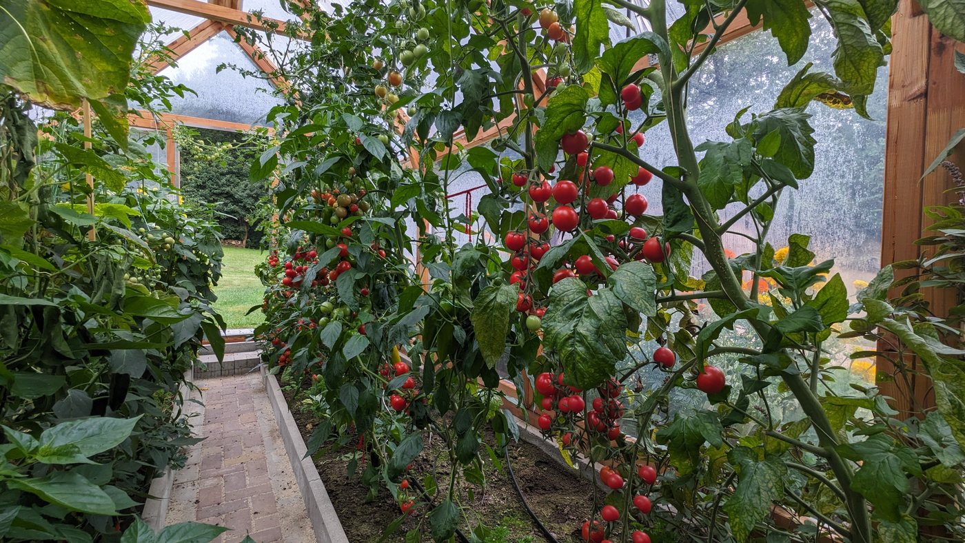 Lucama-Gewächshaus im Garten einer Kundin oder eines Kunden