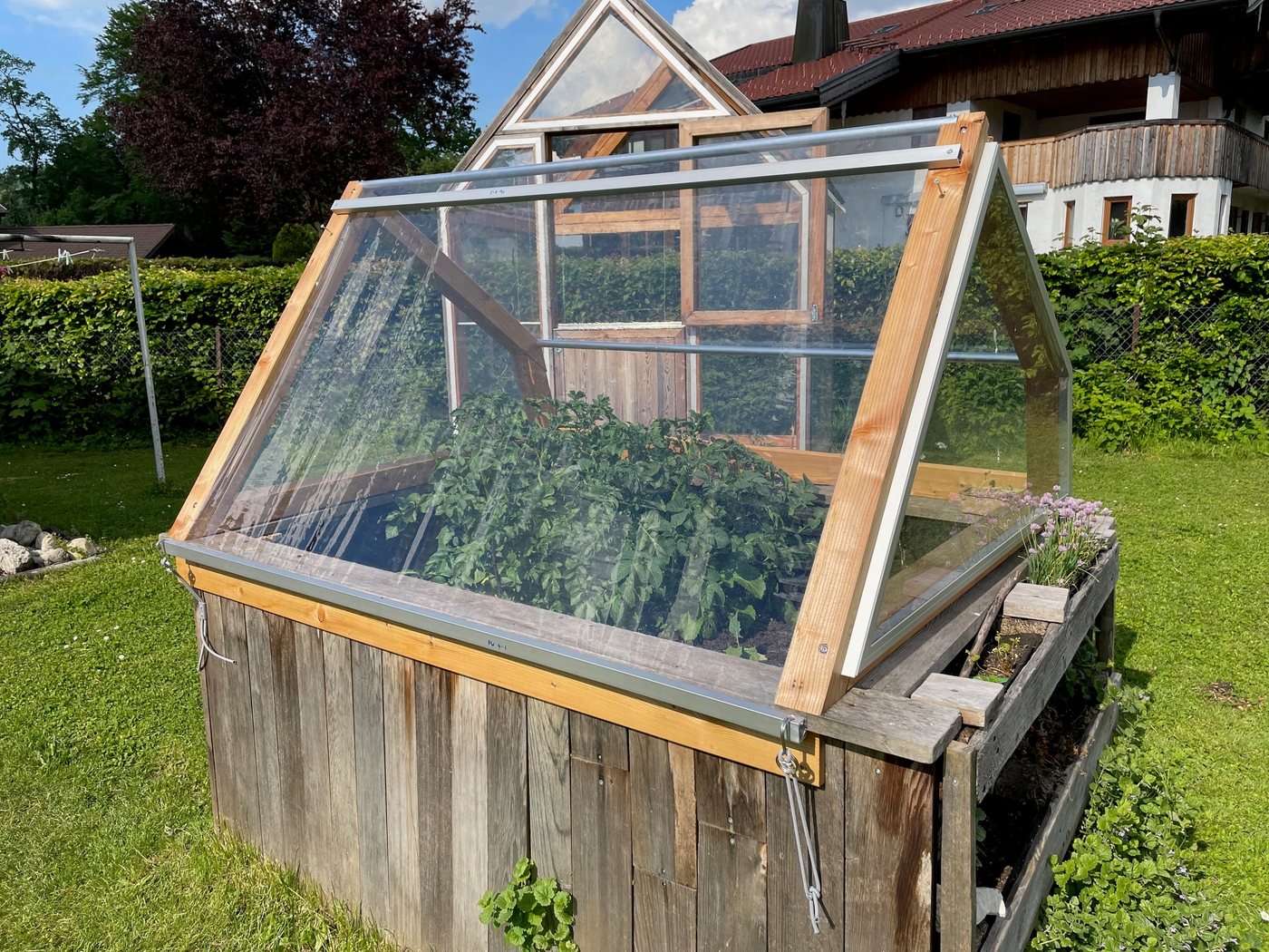Lucama-Gewächshaus im Garten einer Kundin oder eines Kunden