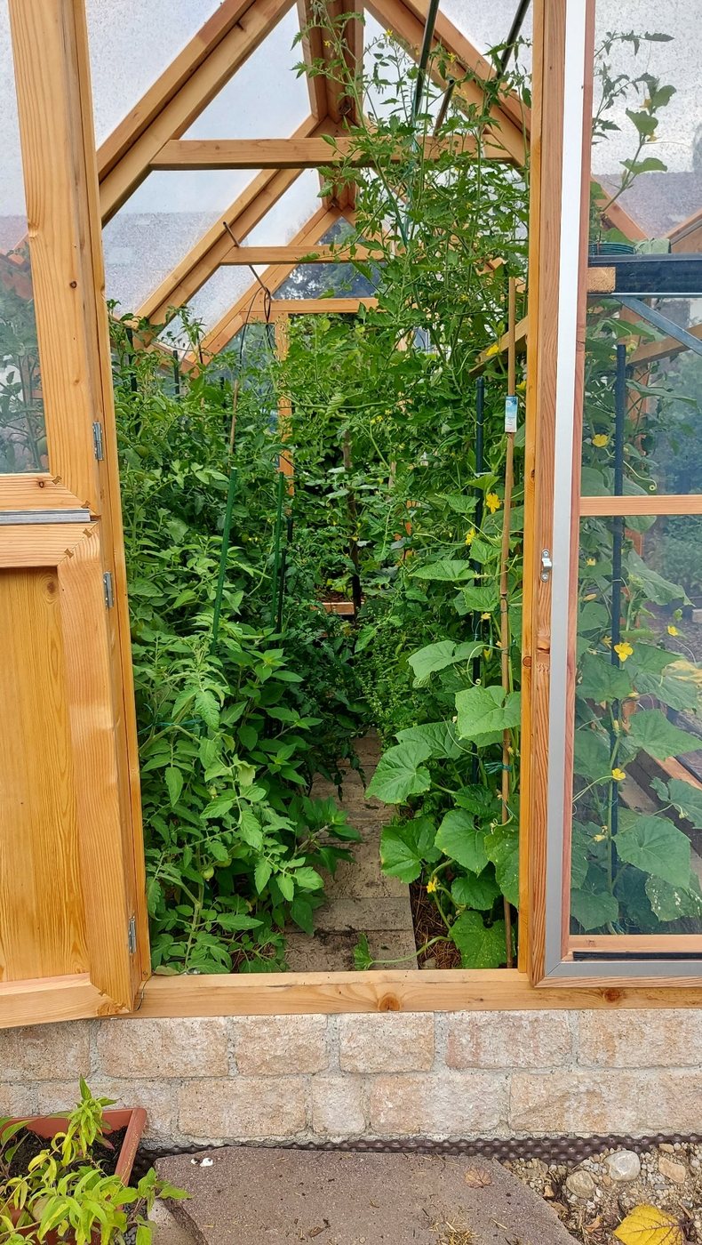 Lucama-Gewächshaus im Garten einer Kundin oder eines Kunden