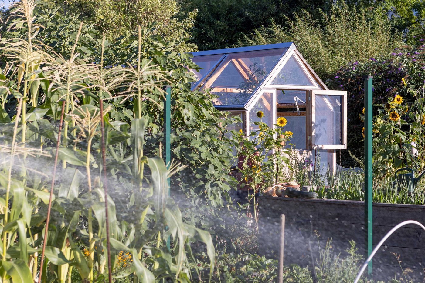 Lucama-Gewächshaus im Garten einer Kundin oder eines Kunden